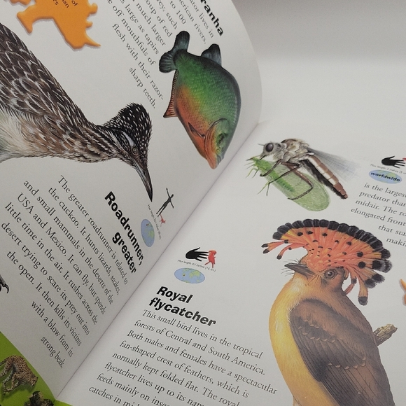 Deadly Creatures Dictionary - Picture 6 of 7